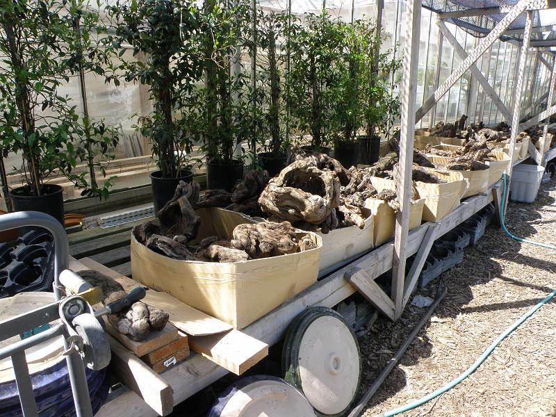 P6202121 Fabbri Highway92.jpg